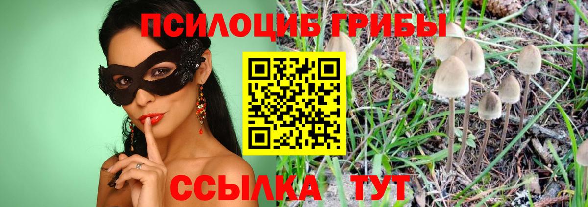 Галлюциногенные грибы Psilocybine cubensis Ноябрьск